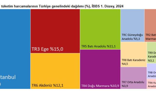 TÜİK: Hanehalkı tüketim harcamalarının yüzde 24,9'u İstanbul'da gerçekleşti