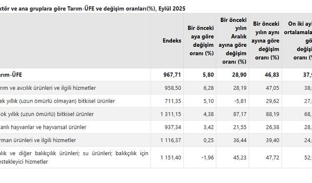 TÜİK: Tarım ürünleri üretici fiyatları eylülde arttı