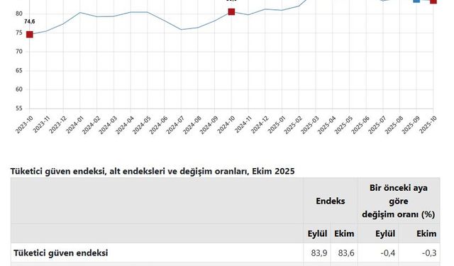 TÜİK: Tüketici güven endeksi yüzde 0,3 azaldı