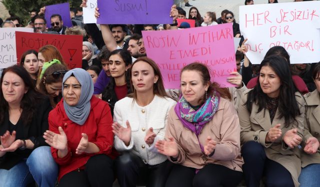 Van'da kadınlar Rojin için basın açıklaması yaptı