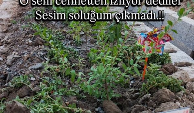 Yasemin lösemiyle mücadelesini kaybetti; duygulandıran veda şarkısı / Video eklendi