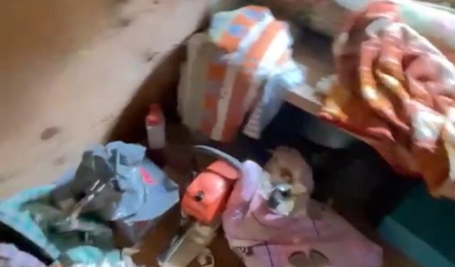 Yiyecek arayan ayılar, 8 köy evine zarar verdi