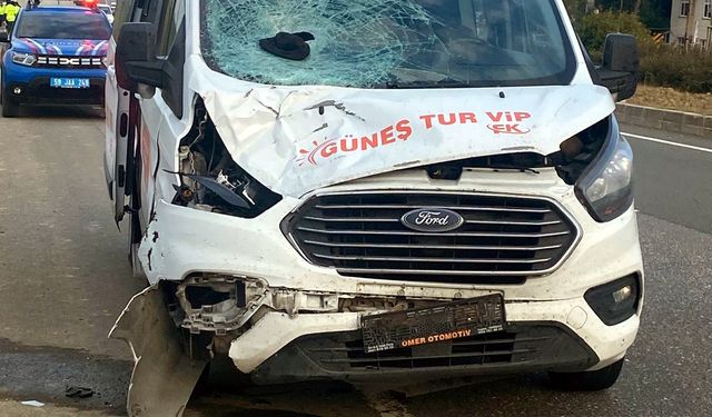 Yol kenarında yürürken minibüsün çarptığı yaya öldü