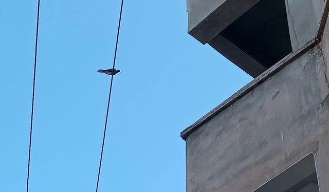 Akıma kapılan Furkan, doku nakliyle ayağa kalktı