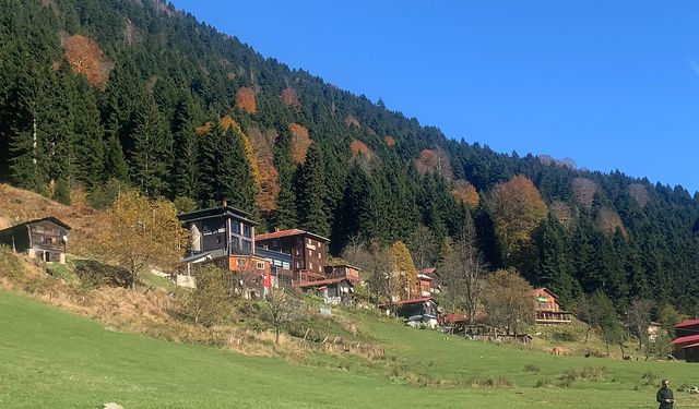 Ayder Yaylası'nda teleferikle ulaşım planlanıyor