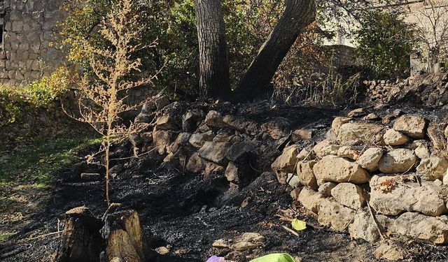 Bahçesindeki otları yakarken alevlerin arasında kalıp öldü
