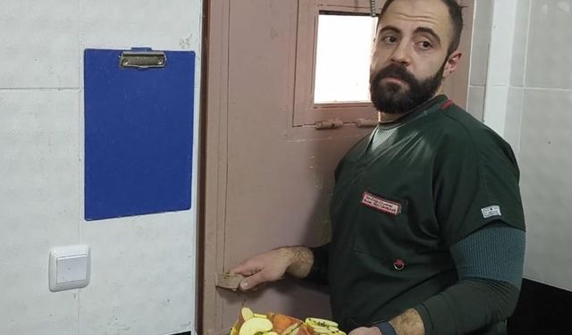 Bitkin halde bulunan yavru ayıya özel bakım