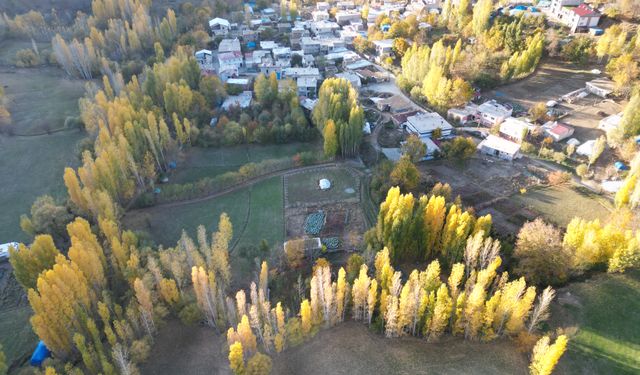 Bitlis'te sonbahar güzelliği