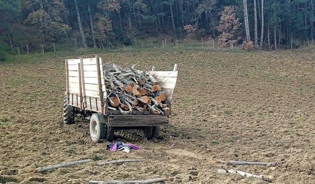 Bolu'da traktör, tarlaya savruldu; 1 ölü, 1 ağır yaralı
