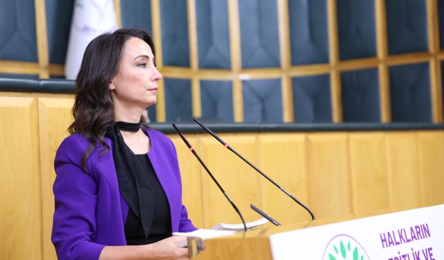 DEM Parti'li Hatimoğulları: Türkiye'nin ve bölgenin barışa ihtiyacı var