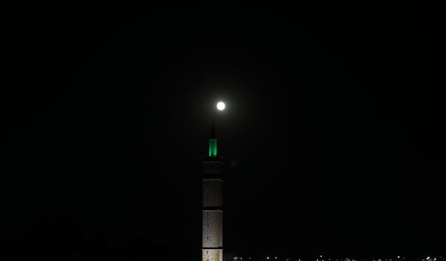 Diyarbakır'da ‘Kunduz ayı' kartpostallık görüntüler oluşturdu/ Ek fotoğraflar