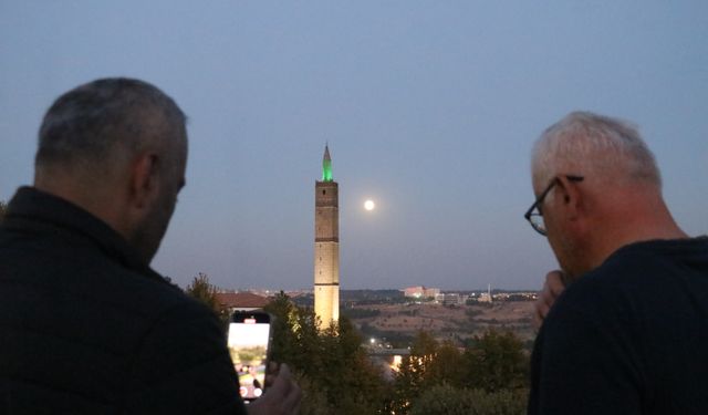 Diyarbakır'da ‘Kunduz ayı' kartpostallık görüntüler oluşturdu