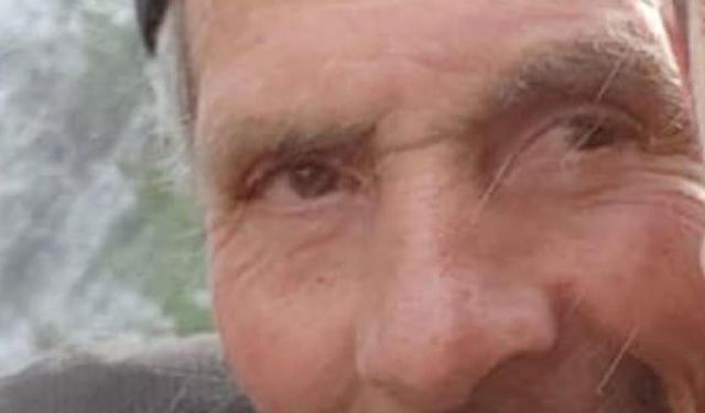 Erzurum'da kaybolan çobandan iz yok; bölgede sis sürüyor