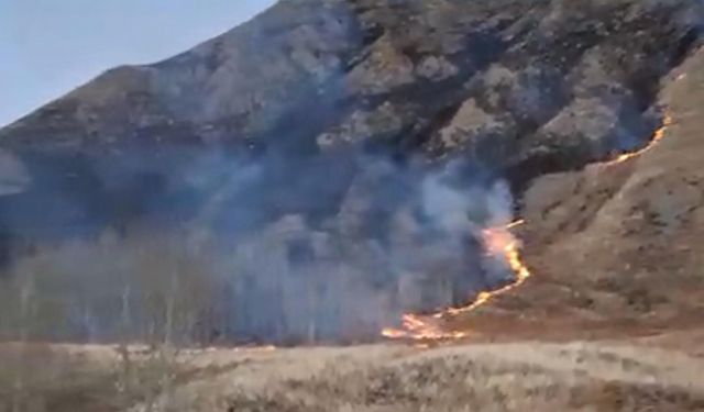 Erzurum'daki örtü yangını söndürüldü