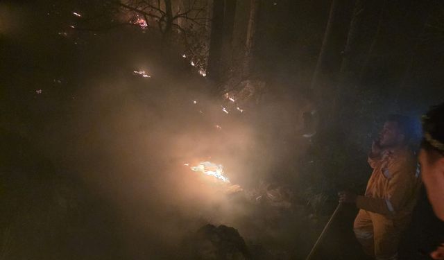Hatay'da yıldırım düşmesi sonucu orman yangını çıktı