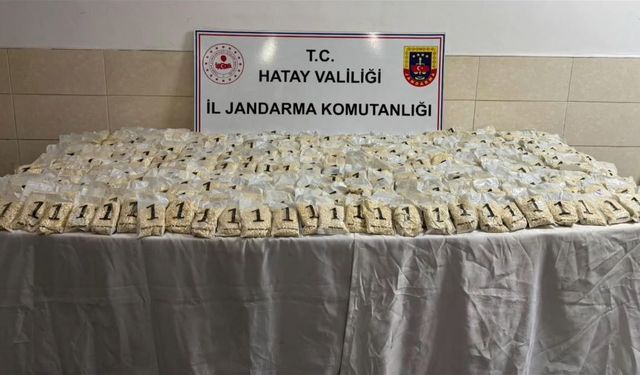 Hatay'da zeytin bahçesinde 625 bin adet uyuşturucu ecza hap ele geçirildi