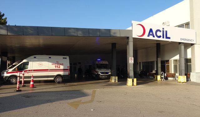 Hayvan otlatırken ayı saldırdı, yüzünden yaralandı