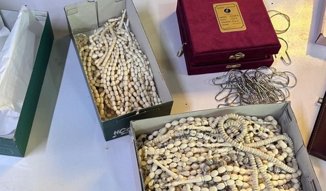 İstanbul- Maltepe'de düzenlenen operasyonda çok sayıda yasa dışı yaban hayatı ürünü ele geçirildi