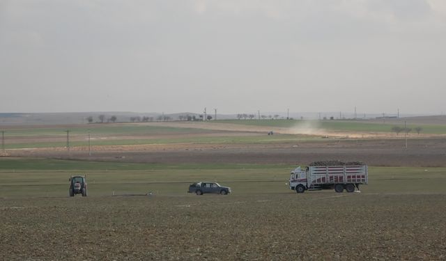 Konya'dan sonra Aksaray'da da obruk oluşmaya başladı: Su çekilince kireç taşlarında çökme oluyor