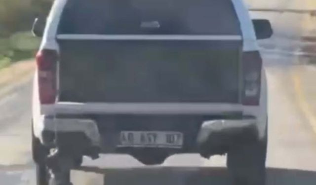 Milas'ta kamyonete bağlanarak sürüklenen köpek öldü; 2 gözaltı