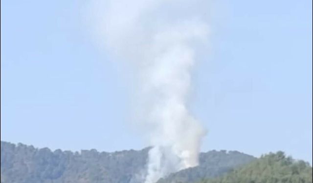 Muğla Seydikemer'de orman yangını