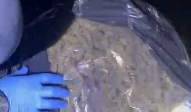 Muğla'da uyuşturucu operasyonunda 4 tutuklama