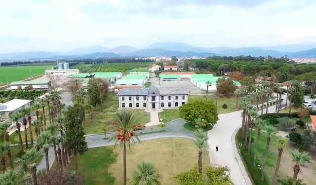 Muğla'nın Afro-Türkleri