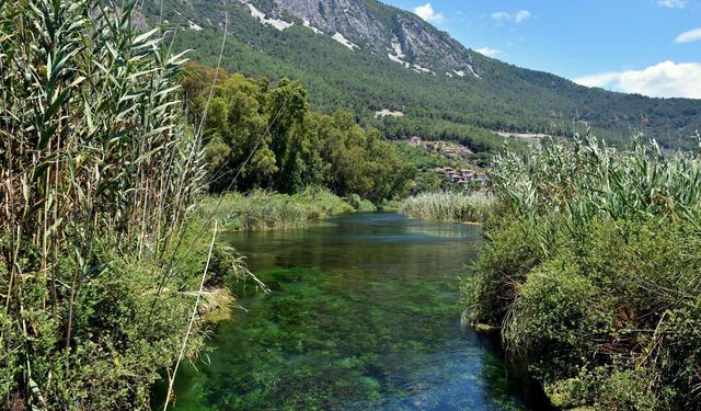 NASA'nın paylaştığı azmakta köprü çitleri, dilek eşyalarıyla doldu