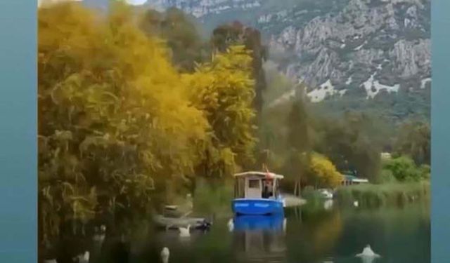 NASA'nın paylaştığı azmakta köprü çitleri, dilek eşyalarıyla doldu/Ek fotoğraflar