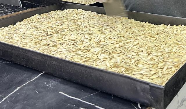 Nevşehir'in coğrafi işaretli kabak çekirdeğine yabancılardan da yoğun ilgi