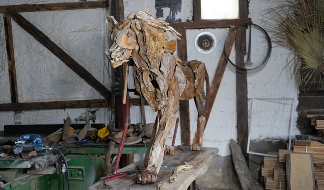 Öldürülen aslan 'Zeus'un ağaçtan heykelini yaptı / Video eklendi