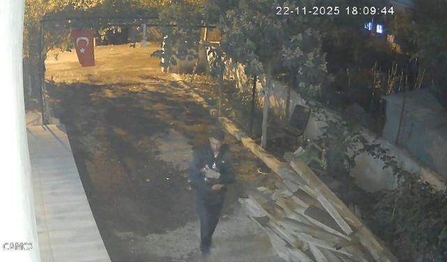 Osmaniye'de mavi yumurtlayan özel cins tavuk hırsızlığı kamerada