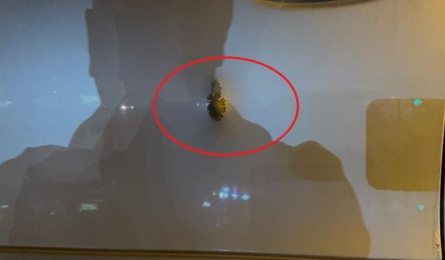 Otomobiline binerken silahlı saldırıda ölmüştü; tutuklu sayısı 9'a çıktı