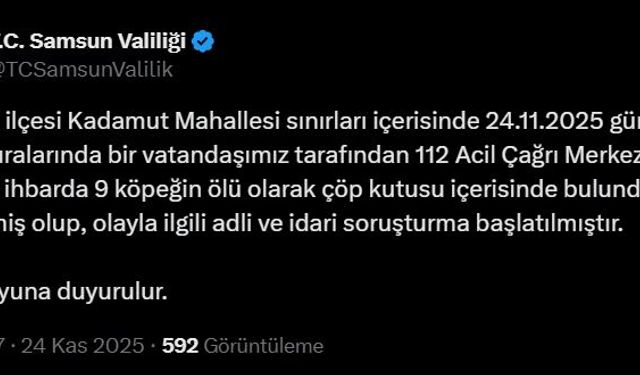 Samsun'da 9 köpek tabanca ile vurularak öldürüldü, Valilik açıklama yaptı