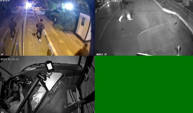 Şanlıurfa'da 2 kişinin yaralandığı silahlı kavga kamerada