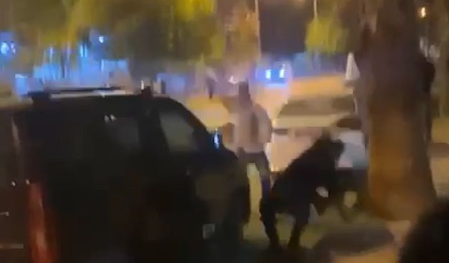 Şanlıurfa'da kardeşler arası bıçaklı kavgada 4 kişi yaralandı; olay anı kamerada