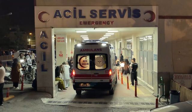 Şanlıurfa'da zincirleme kaza: 2 ölü, 2 yaralı (2)