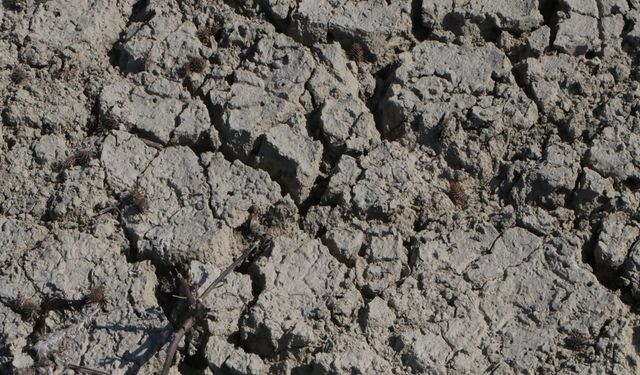 Seyhan Baraj Gölü'nde sular çekilince eski köprü gün yüzüne çıktı