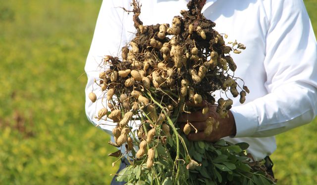 Tarımda su kıtlığının önüne geçebilmenin en iyi yolu; modern sulama sistemleri