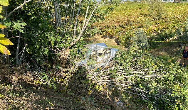 Tarlaya yuvarlanan otomobilin sürücüsü öldü