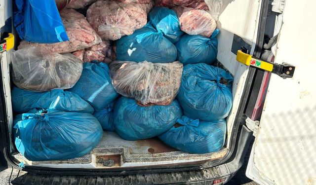 Tekirdağ'da 2 ton kaçak sakatat ele geçirildi