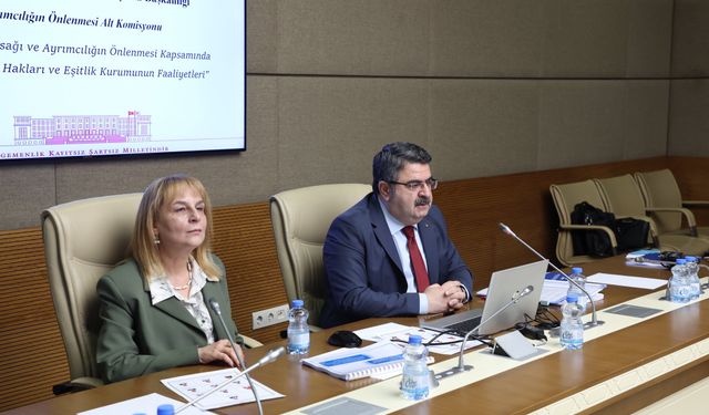 TİHEK İkinci Başkanı Carti: Ayrımcılık temelli başvuruların yüzde 20'si engelli bireylerden