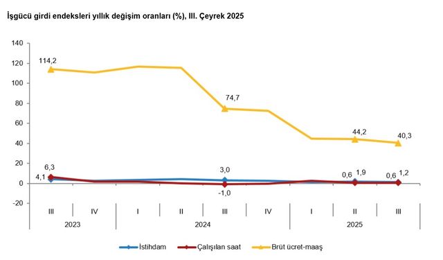 TÜİK: İstihdam endeksi yıllık yüzde 1,2 arttı