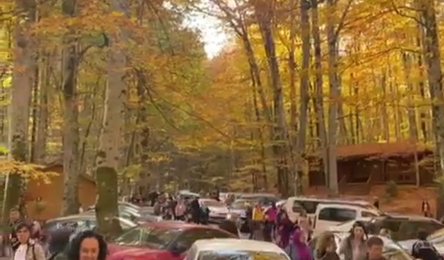 Yedigöller Milli Parkı, ziyaretçi akınına uğradı (2)