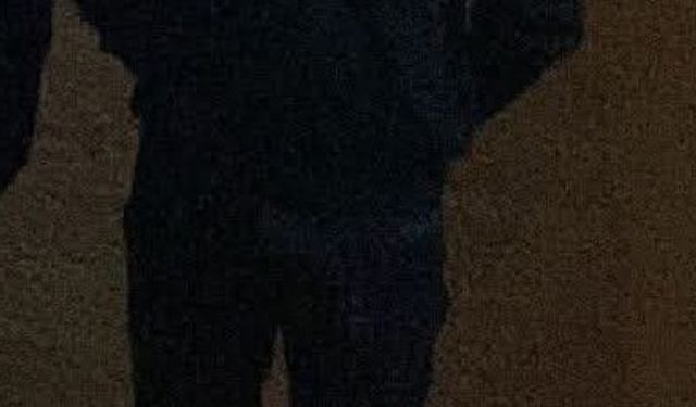 Ağaca çarpan otomobil ikiye bölündü; 1 ölü (2)