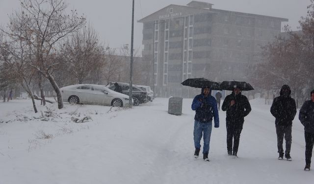 Bitlis'te kar yağışı; 180 köy yolu ulaşıma kapandı