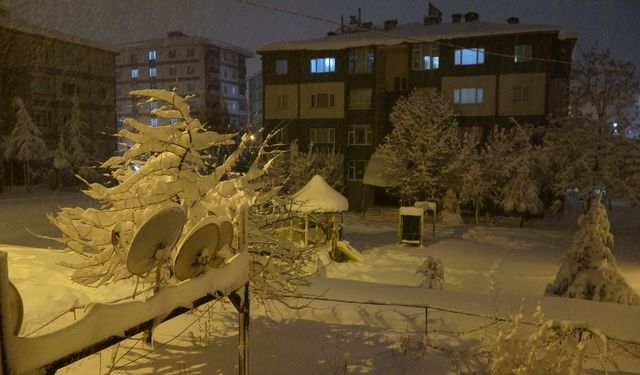 Bitlis'te yoğun kar yağışı nedeniyle bazı yollar ağır vasıta trafiğine kapatıldı