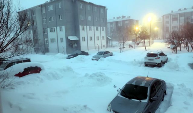 Bitlis'te yüksek gerilim hattında zorlu kış mesaisi (2)