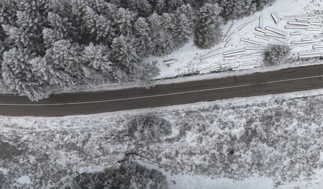 Bolu ormanlarında kar manzarası
