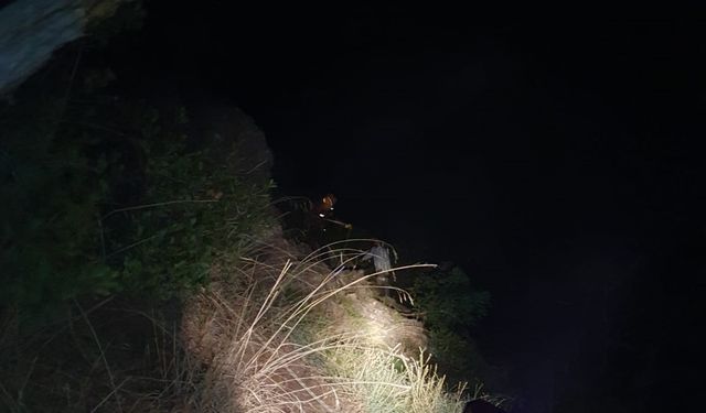 Bursa’da ormanda mahsur kalan vatandaş ekipler tarafından kurtarıldı